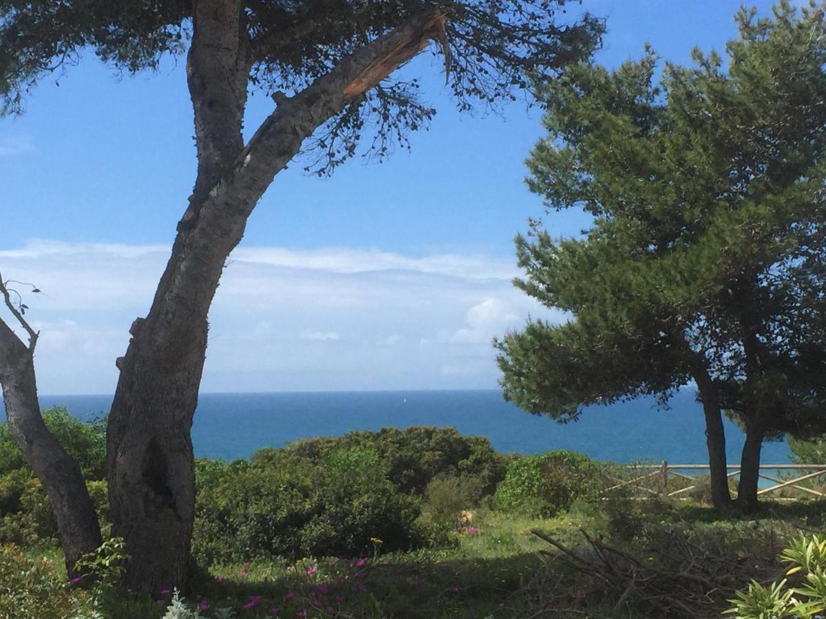 Carvoeiro Sol Seafront Daire Dış mekan fotoğraf